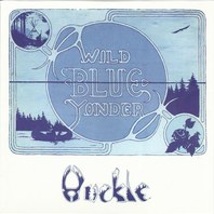 Wild Blue Yonder (Vinyl) Mp3