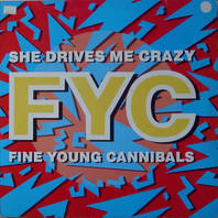 She Drives Me Crazy (CDS) Mp3
