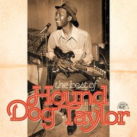 The Best Of Hound Dog Taylor Mp3