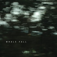 Whale Fall Mp3