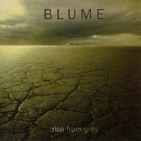 Rise From Grey Mp3