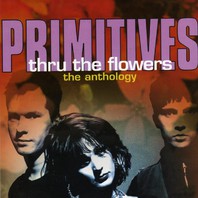Thru The Flowers: The Anthology CD2 Mp3