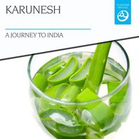 A Journey To India Mp3