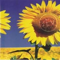 Sunflower Mp3