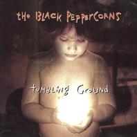 Tumbling Ground (With The Black Peppercoins) Mp3