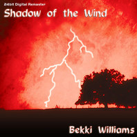 Shadow Of The Wind Mp3