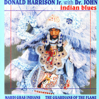Indian Blues Mp3
