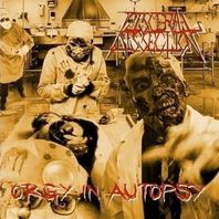 Orgy In Autopsy Mp3