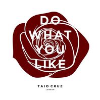 Do What You Like (CDS) Mp3