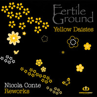 Yellow Daisies (Nicola Conte Reworks) (CDR) Mp3