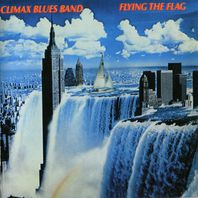 Flying The Flag (Vinyl) Mp3