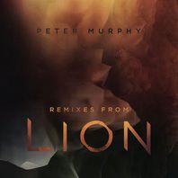 Remixes From Lion Mp3