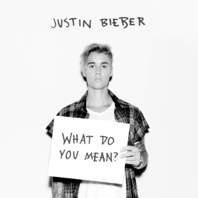 What Do You Mean? (CDS) Mp3