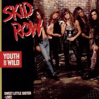 Youth Gone Wild (CDS) Mp3
