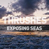 Exposing Seas Mp3