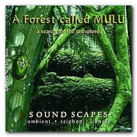A Forest Called Mulu - A Serach For The Unexplored Mp3