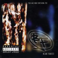 You Are Now Entering... The Blak Forest Mp3