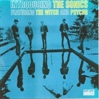 Introducing The Sonics Mp3