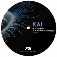Clamped / Awake In The Night (CDS) Mp3
