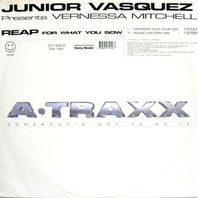 Reap (What You Sow) (Junior Vasquez Pres.) (VLS) Mp3