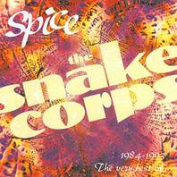 Spice - 1984-1993 The Very Best Of Mp3