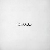 Wait And See (EP) Mp3