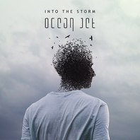 Into The Storm (CDS) Mp3