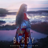 Keeping Your Head Up (CDS) Mp3