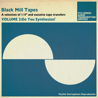 Black Mill Tapes Volume 2: Do You Synthesize? Mp3