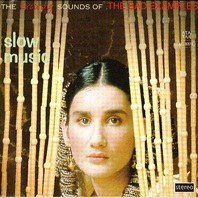 Slow Music - The Exiting Sounds Of The Bad Examples Mp3