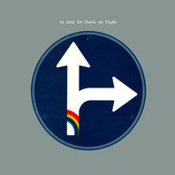 In Time For Hawk On Flight (Vinyl) Mp3