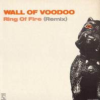 Ring Of Fire (Remix) (VLS) Mp3