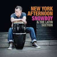 New York Afternoon Mp3
