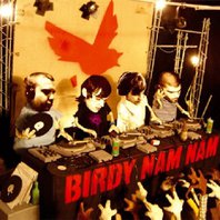 Birdy Nam Nam Mp3