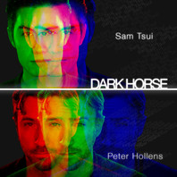 Dark Horse (CDS) Mp3