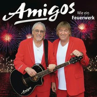 Wie Ein Feuerwerk Mp3