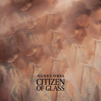 Citizen of Glass Mp3