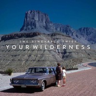 Your Wilderness Mp3
