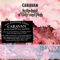 In The Land Of Grey And Pink (40th Anniversary Deluxe Edition 2011) CD3 Mp3