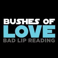 Bushes Of Love (CDS) Mp3