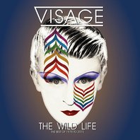 The Wild Life - The Best Of, 1978 To 2015 Mp3