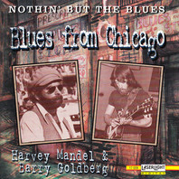 Nothin' But The Blues - Blues From Chicago (With Barry Goldberg) Mp3