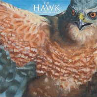 The Hawk Mp3