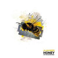 Honey On The Razors Edge Mp3