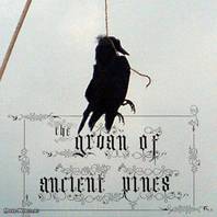 The Groan Of Ancient Pines (Split With Wake) Mp3