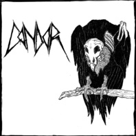 Condor (Vinyl) Mp3