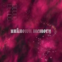 Unknown Memory Mp3