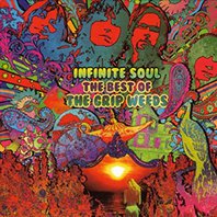 Infinite Soul: The Best Of The Grip Weeds Mp3