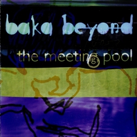The Meeting Pool Mp3