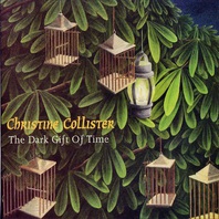 The Dark Gift Of Time Mp3